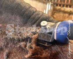 Clipping & Shearing Clipping & Shearing