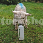500ML SCREW TOP LAMB BOTTLE