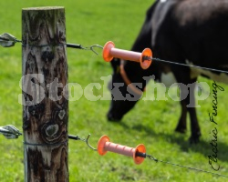 Electric Fencing Electric Fencing